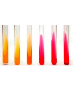 агар Кристенсена с мочевиной-0.1 кг