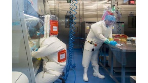 Ученые из Уханя действительно создали «искусственный» коронавирус — но не тот