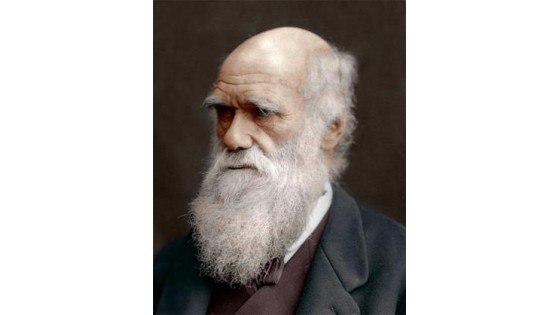 Ученые доказали одну из главных эволюционных теорий Дарвина